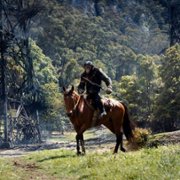 Kingdom of the Planet of the Apes - galeria zdjęć - filmweb