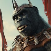 Królestwo Planety Małp - galeria zdjęć - filmweb
