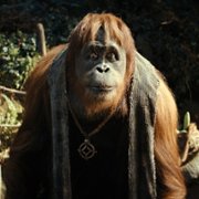 Kingdom of the Planet of the Apes - galeria zdjęć - filmweb