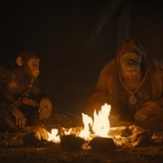 Kingdom of the Planet of the Apes - galeria zdjęć - filmweb