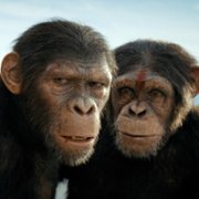 Kingdom of the Planet of the Apes - galeria zdjęć - filmweb