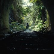 Kingdom of the Planet of the Apes - galeria zdjęć - filmweb