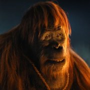 Kingdom of the Planet of the Apes - galeria zdjęć - filmweb