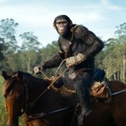 Kingdom of the Planet of the Apes - galeria zdjęć - filmweb
