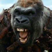 Kingdom of the Planet of the Apes - galeria zdjęć - filmweb