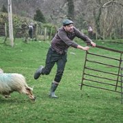 Jack Whitehall: Travels with My Father - galeria zdjęć - filmweb