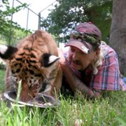 Tiger King: Murder, Mayhem and Madness - galeria zdjęć - filmweb