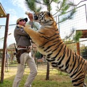 Tiger King: Murder, Mayhem and Madness - galeria zdjęć - filmweb