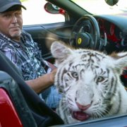 Tiger King: Murder, Mayhem and Madness - galeria zdjęć - filmweb