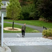 Bestia we mnie - galeria zdjęć - filmweb