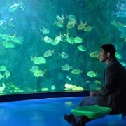 Haiyang tiantang - galeria zdjęć - filmweb