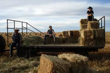 Ciche światło - galeria zdjęć - filmweb