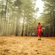 El hipnotizador - galeria zdjęć - filmweb