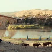 Miasto, które wyjechało - galeria zdjęć - filmweb