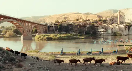 Miasto, które wyjechało - galeria zdjęć - filmweb