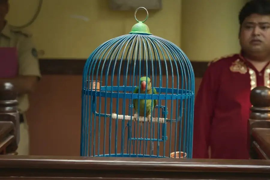 Prawa sprawa - galeria zdjęć - filmweb