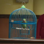 Prawa sprawa - galeria zdjęć - filmweb