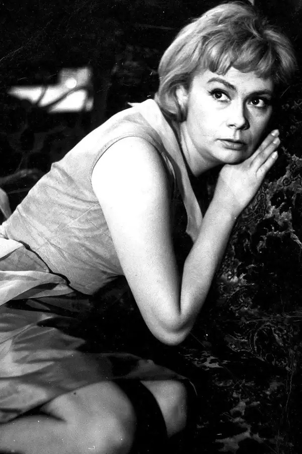 Prawo i pięść - galeria zdjęć - filmweb