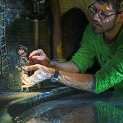 The Boxtrolls - galeria zdjęć - filmweb