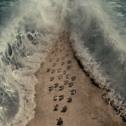 Testament: The Story of Moses - galeria zdjęć - filmweb