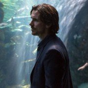 Knight of Cups - galeria zdjęć - filmweb