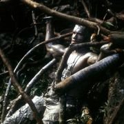 Predator - galeria zdjęć - filmweb