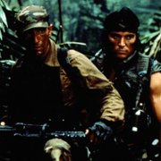 Predator - galeria zdjęć - filmweb