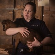Nic na siłę - galeria zdjęć - filmweb