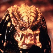 Predator