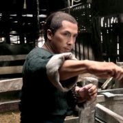 Dragon - galeria zdjęć - filmweb