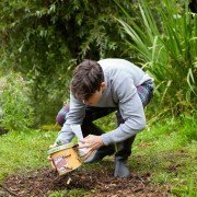 Evermoor - galeria zdjęć - filmweb