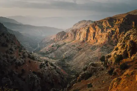 Poszukiwacze ginącej przyrody - galeria zdjęć - filmweb