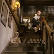 The Flying Machine - galeria zdjęć - filmweb
