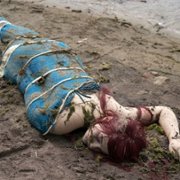 Specjalistki - galeria zdjęć - filmweb