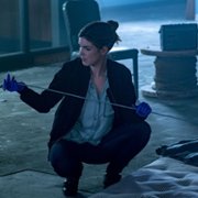 The Detail - galeria zdjęć - filmweb