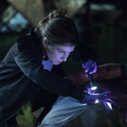 The Detail - galeria zdjęć - filmweb