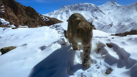 Sezon 1 Odcinek 2 The Himalayas