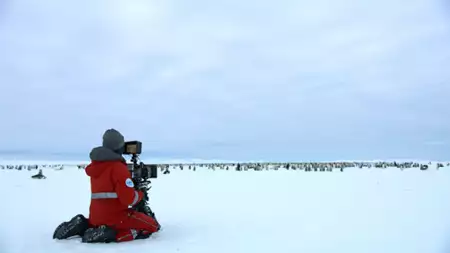 Dźwięki Ziemi - galeria zdjęć - filmweb