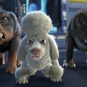 The Wild - galeria zdjęć - filmweb