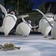 The Wild - galeria zdjęć - filmweb