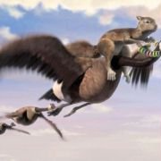 The Wild - galeria zdjęć - filmweb