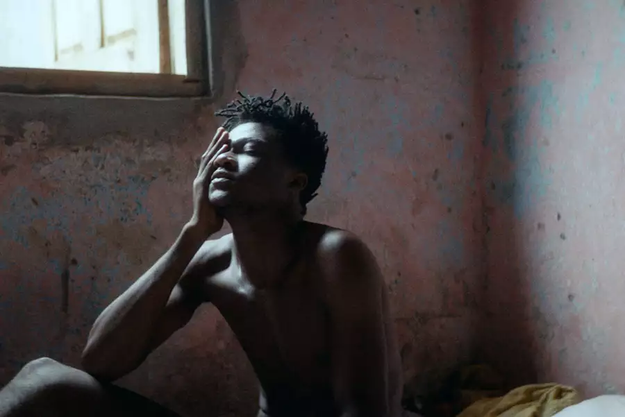Tylko zwierzęta nie błądzą - galeria zdjęć - filmweb