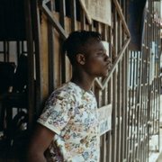 Tylko zwierzęta nie błądzą - galeria zdjęć - filmweb