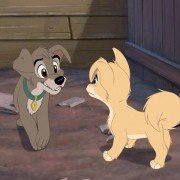 Lady and the Tramp II: Scamp's Adventure - galeria zdjęć - filmweb