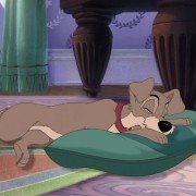 Lady and the Tramp II: Scamp's Adventure - galeria zdjęć - filmweb