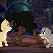Lady and the Tramp II: Scamp's Adventure - galeria zdjęć - filmweb