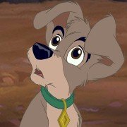 Lady and the Tramp II: Scamp's Adventure - galeria zdjęć - filmweb