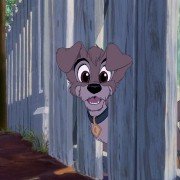 Lady and the Tramp II: Scamp's Adventure - galeria zdjęć - filmweb