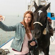 Wicher – dzikie konie - galeria zdjęć - filmweb