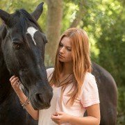 Wicher – dzikie konie - galeria zdjęć - filmweb